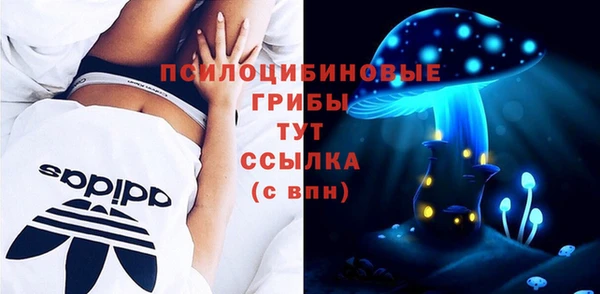 стафф Каменка