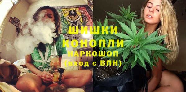 стафф Каменка