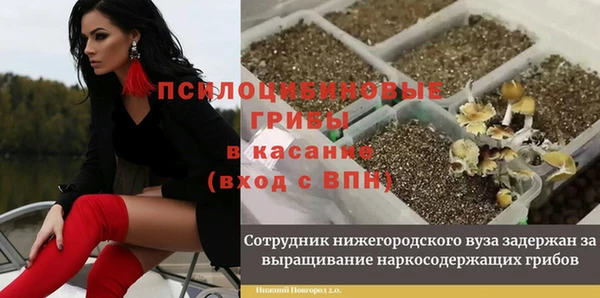 2c-b Каменногорск
