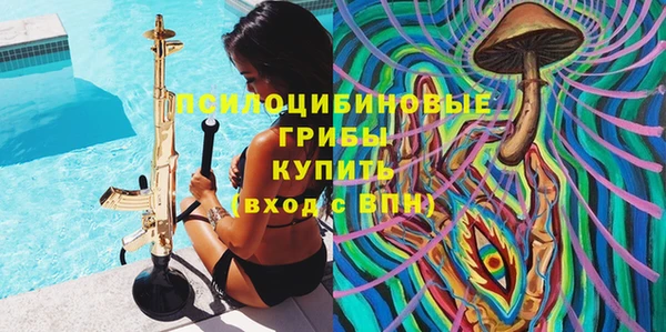 стафф Каменка
