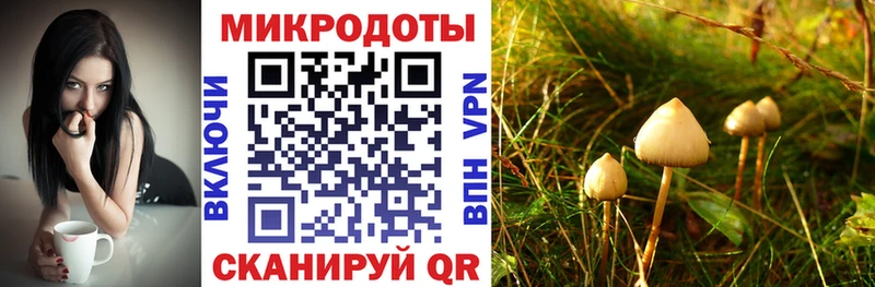 Купить где  Выкса  Псилоцибиновые грибы мухоморы 
